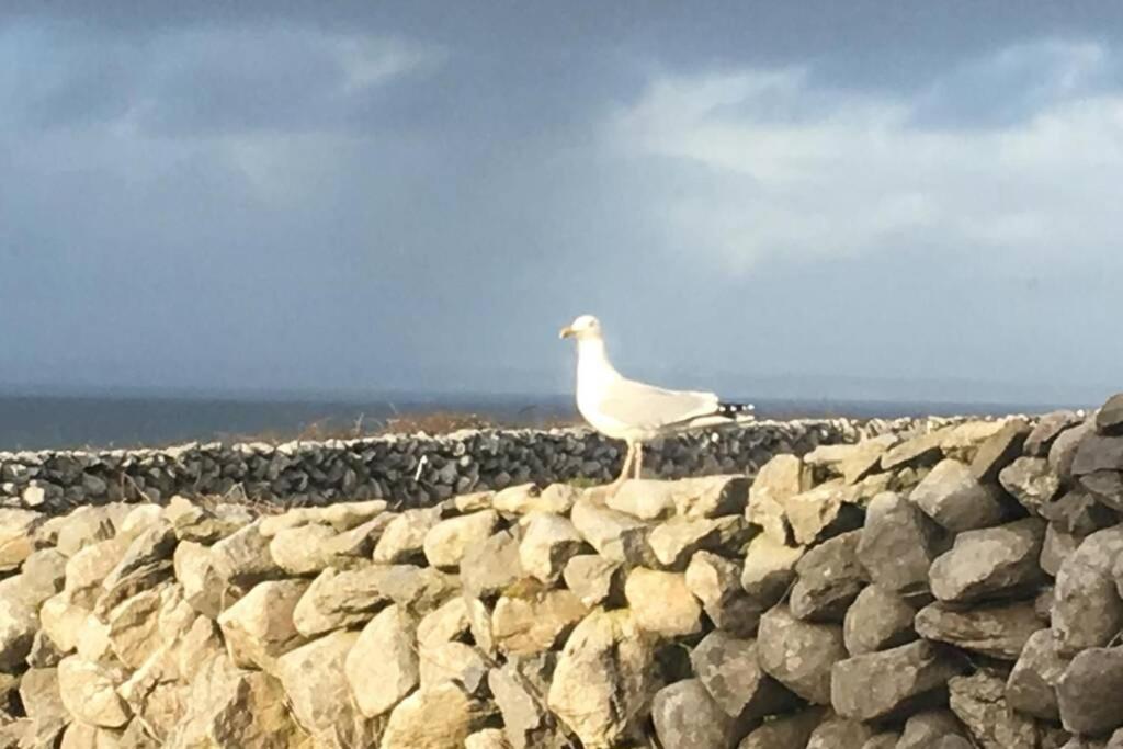 Apartment On Wild Atlantic Way Fanore Buitenkant foto